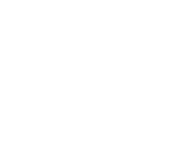 Logo | Calvetta Brothers Mentor