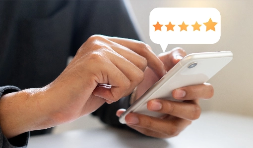 Review | Calvetta Brothers Mentor