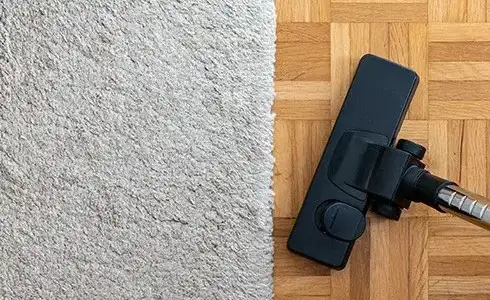 Area rug care | Calvetta Brothers Mentor