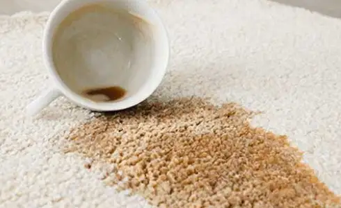 Area rug care | Calvetta Brothers Mentor