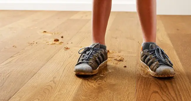 Hardwood care | Calvetta Brothers Mentor