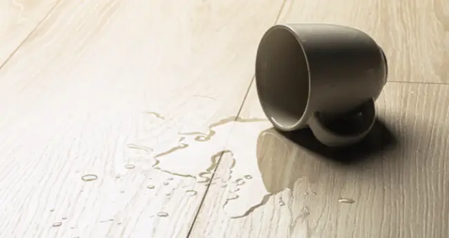 Hardwood spill | Calvetta Brothers Mentor