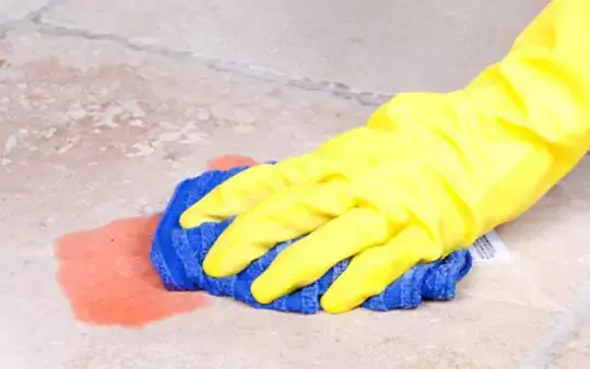 Tile care | Calvetta Brothers Mentor