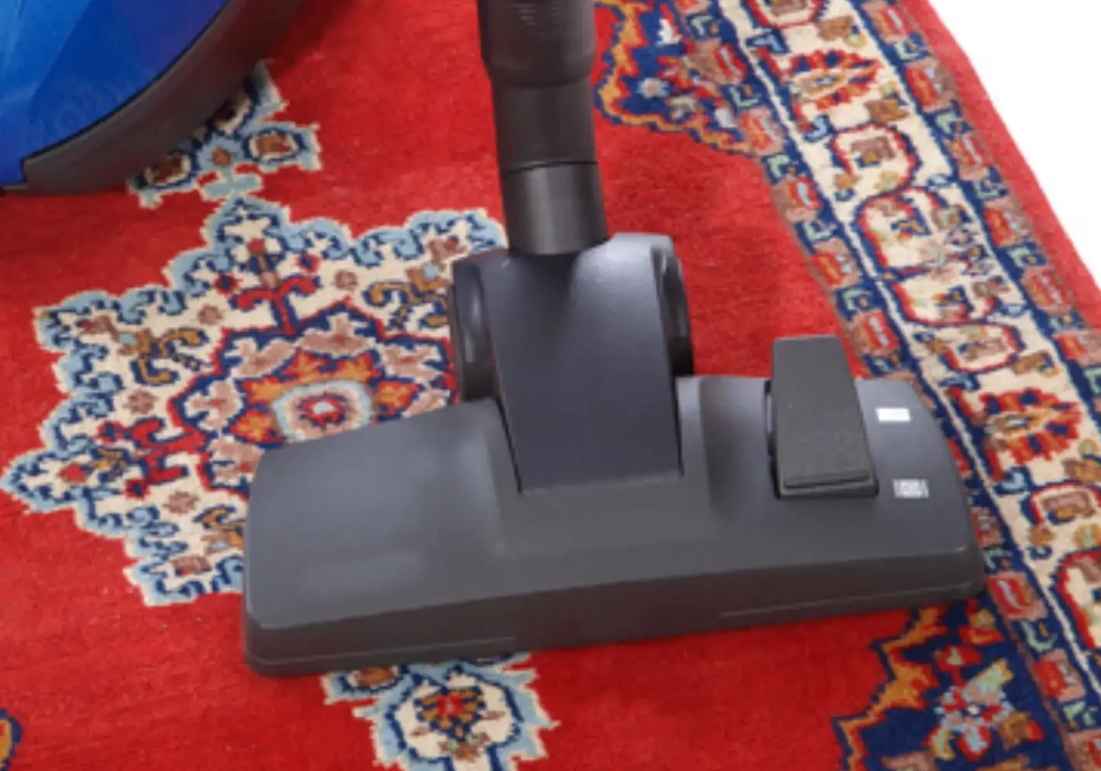 Area rug care | Calvetta Brothers Mentor